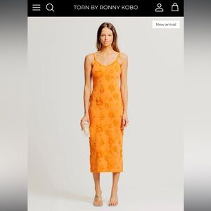 New Torn By Ronny Kobo